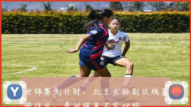 世锦赛倒计时，北京女排副攻线蓄势待发，青训根基不容动摇