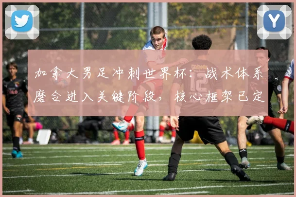 加拿大男足冲刺世界杯：战术体系磨合进入关键阶段，核心框架已定