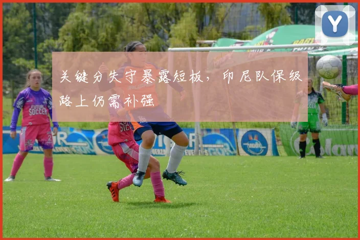 关键分失守暴露短板，印尼队保级路上仍需补强